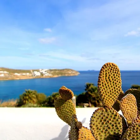Mykonos Endless Sea ヴィラ
